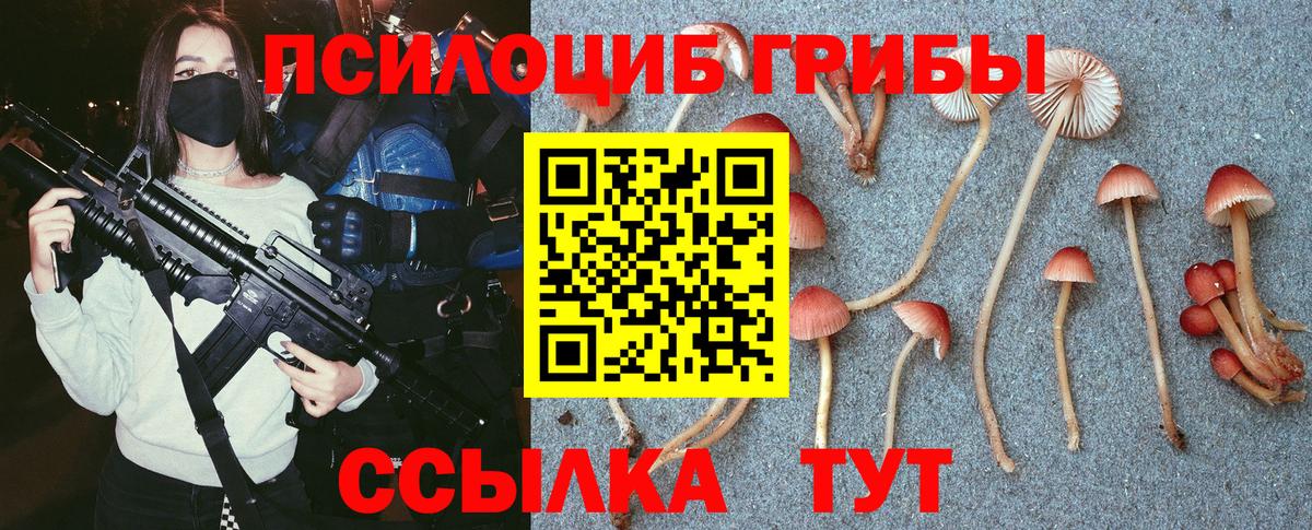 Галлюциногенные грибы MAGIC MUSHROOMS  Вход с VPN  Галлюциногенные грибы GOLDEN TEACHER  Кстово 